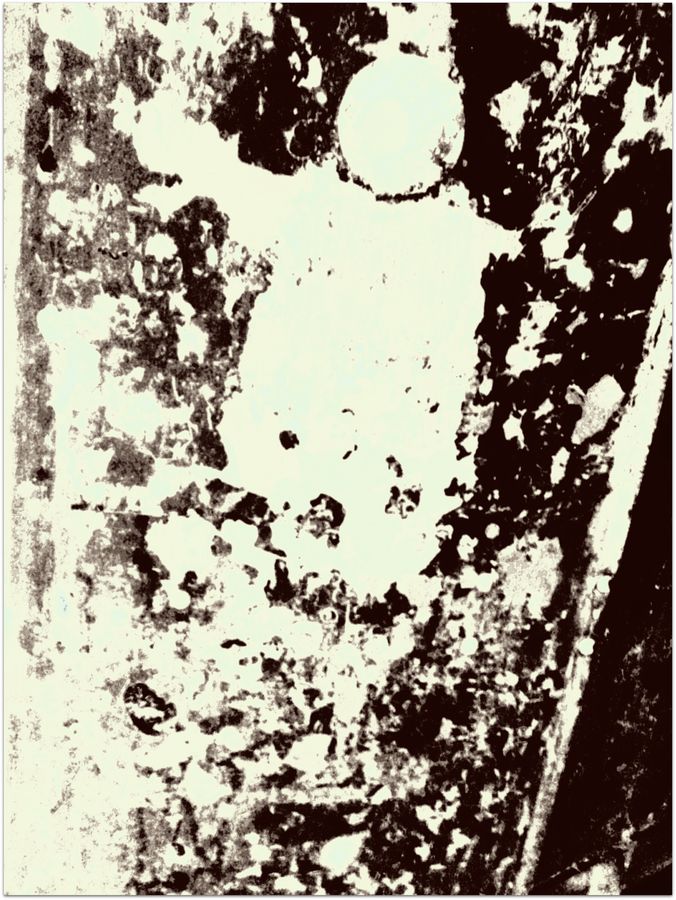 Mur écaillé réduit à des taches noires sur fond crème.